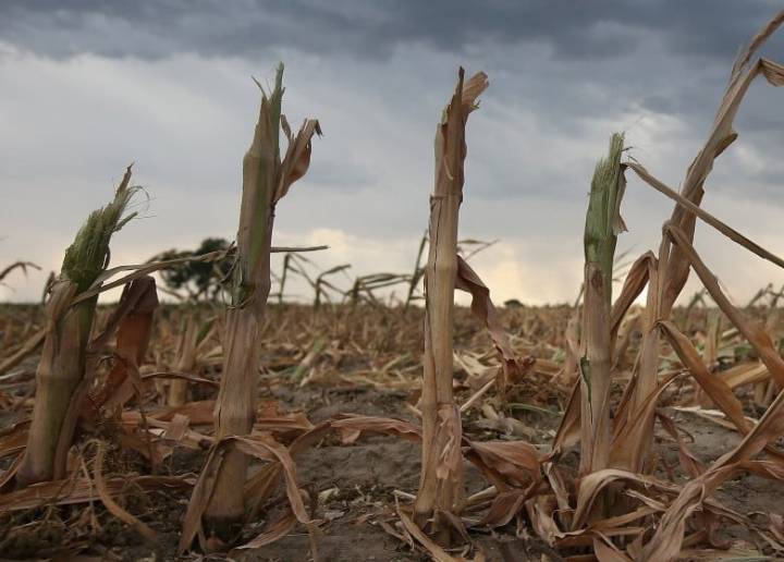 Se viene La Niña: Coquimbo acumularía hasta 10 mm de lluvias ¿Cómo, cuándo y dónde?