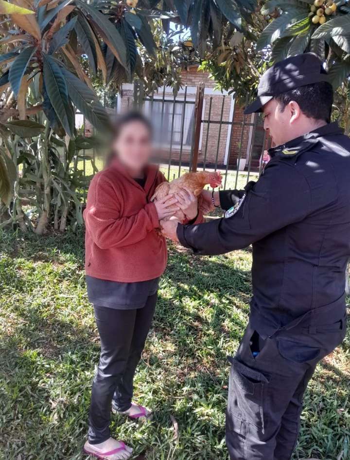 Golpe a la delincuencia: la policía recuperó objetos robados, demoró a dos menores y trabaja para detener a otros involucrados