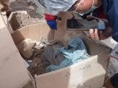 Hallan fardo funerario prehispánico abandonado en un botadero de Cusco
