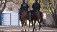 Cuatro adolescentes le robaron a una pareja en los portones del parque San Martín