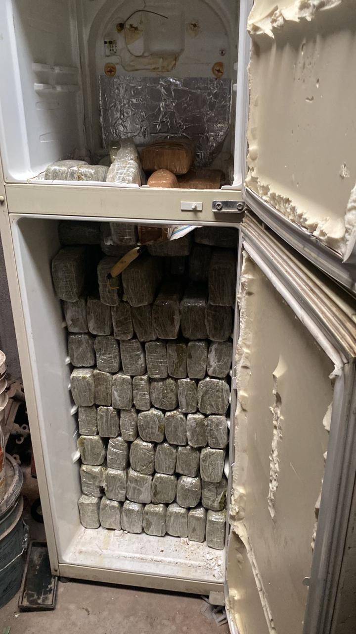 Aseguran dos refrigeradores con 300 kilos de marihuana en un domicilio de Chihuahua