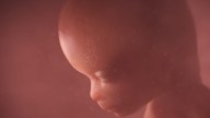 Ohio lawmaker wants students to watch a video showing fetal development