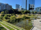 Portland vacation proves polarizing. In 2025, what isn’t?