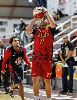 Gallos caen en Durango