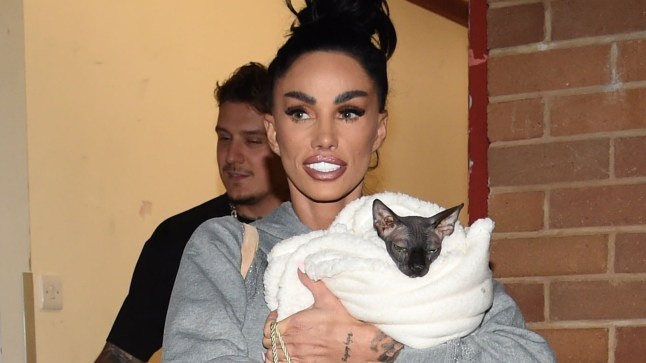 Katie Price shares update after seriously ill kittens are rushed to the vets