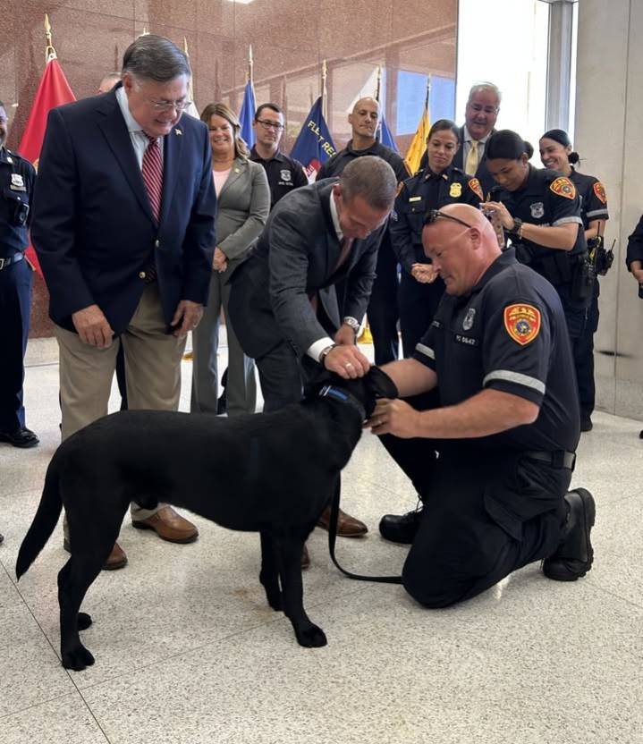 Suffolk police welcome comfort dog Hamilton to support officers and community