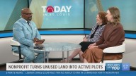 Pocket parks bring new life to under-utilized spaces around St. Louis