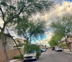 Arizona gets soaked by tropical storm remnants