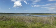 Tallahassee City Commission reverses course, transmits its land use ‘constitution’ to the state for review