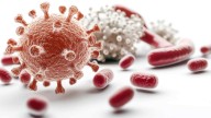 ¿Puede un virus curarte? Así es la terapia con fagos paso a paso