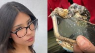 Muere Ana Daniela, la joven dueña del celular encontrado en explosión de pipa en Iztapalapa