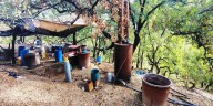 Aseguran laboratorio clandestino en Olinalá, Guerrero, con más de 3 mil litros de sustancias químicas