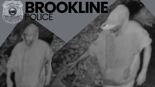 Police looking to identify man in attempted Brookline break