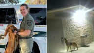Florida K9 Hero Tracks Missing Girl And Delivers Heartwarming Rescue