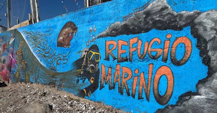De profesores que dan clase en el mar hasta pescadores que dejan de pescar: Comunidades de Chile protegen el oceano