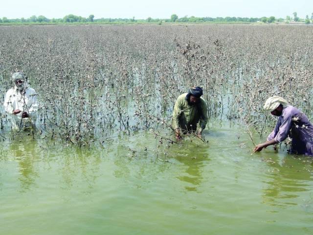 Punjab prepares Rs500b flood package