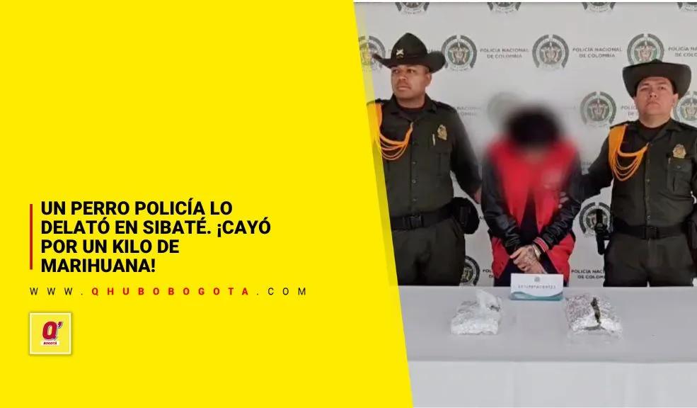 En Sibaté: un perro policía lo delató. ¡Cayó por un kilo de marihuana!