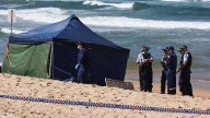 Dee Why shark attack: Surfer dies after being mauled, prompting major emergency response