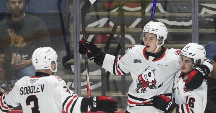 Top prospect: IceDogs forward high on pre-season NHL draft radar