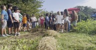 Remembering the Charlottesville 12