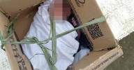 Baby girl found dumped in cardboard box at side of the road