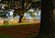 Llega el otoño: ¿cuándo cambiaremos al horario de invierno?