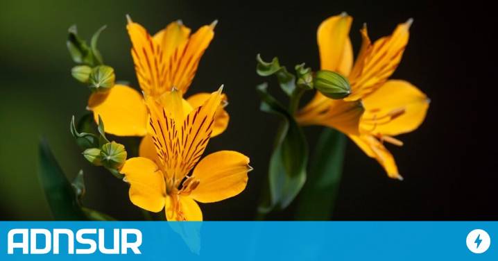 11:26 Chubut será sede del Primer Congreso Binacional de Paisajismo Patagónico: un evento que une naturaleza, turismo y desarrollo