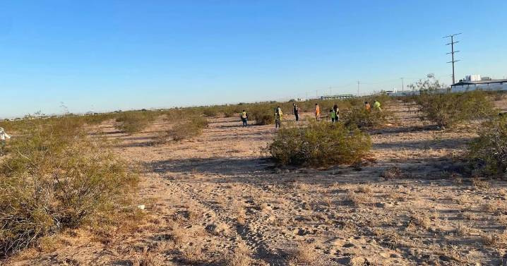 Cuerpo en descomposición es localizado en el valle