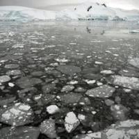 Antarctic sea ice hits its third-lowest winter peak on record