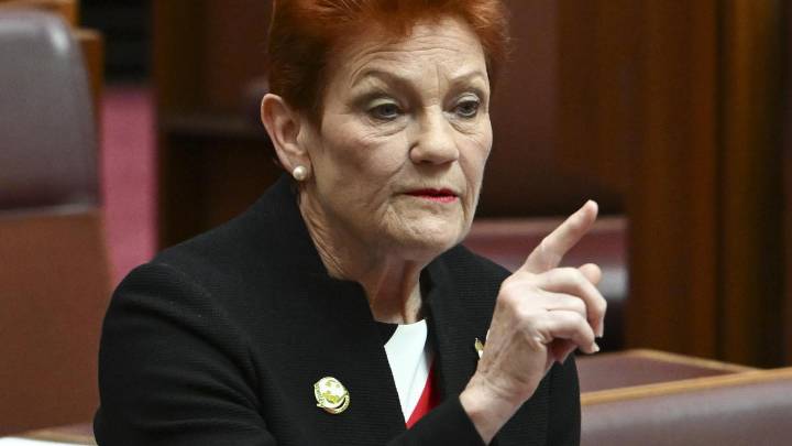 ‘Queenslander’ and former Pauline Hanson PA to fill vacant NSW senate spot