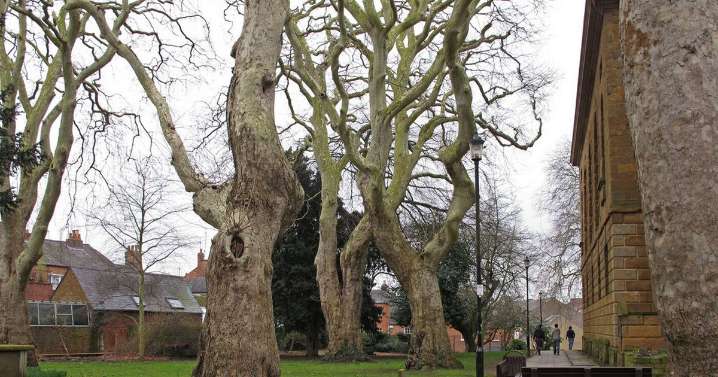Woman raped by group of men in churchyard on Sunday morning