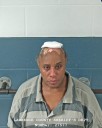 Woman steals 10 puppies and more, arrest made