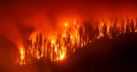 Wildfires increase demand for made