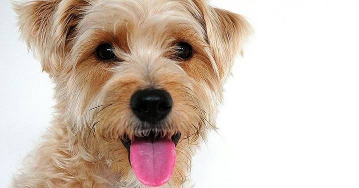 Daily Star pub quiz: 20 general knowledge questions to get you scratching your head