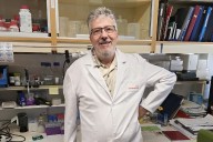 La novedosa propuesta de una 'spin-off' del Instituto Cajal contra el alzhéimer: terapia génica para luchar contra la neurodegeneración