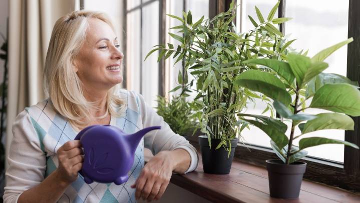Cuatro razones para adornar tu casa u oficina con plantas, según estudios