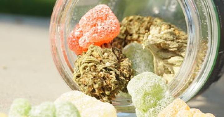 Newsom signs law rolling back state’s cannabis tax