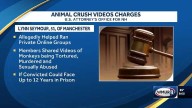 Manchester woman indicted, charged with allegedly distributing animal crush videos