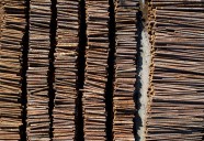 B.C. forestry sector in ‘crisis,’ triggering change in BC Timber Sales
