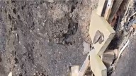 Manuel perdió casi 700 colmenas en los incendios de Ourense: "Fue bastante duro, ardieron muchas abejas y la zona quedó catastrófica"