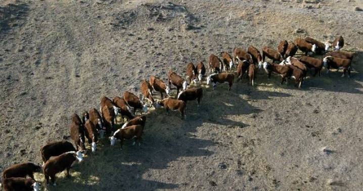 'Confronting' climate impacts in Australia's future