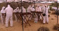Identifican restos de persona hallada en localidad de Rioverde