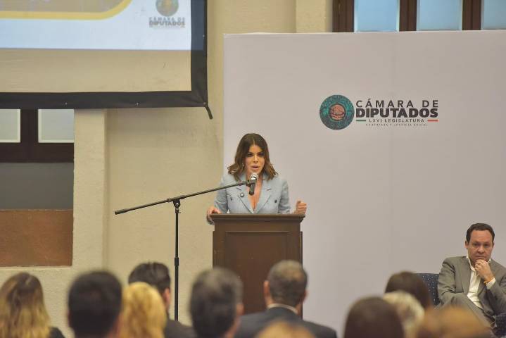 Van diputados por registro camionero 