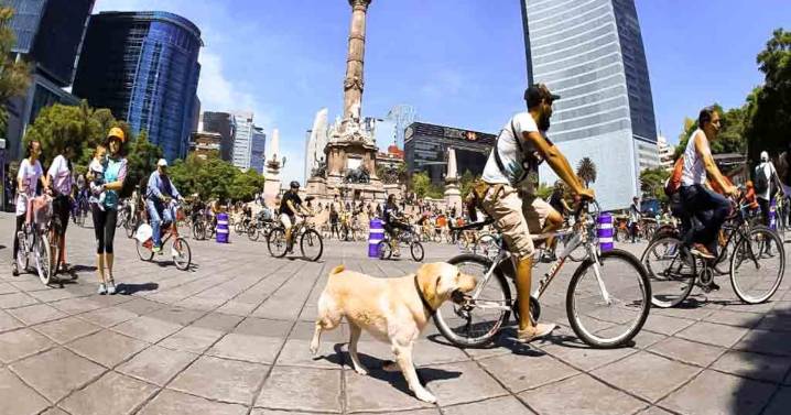 ¿Cuáles son los mejores eventos en la CDMX del 26 al 28 de septiembre?