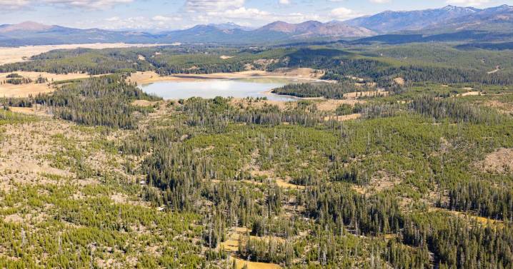 Former national park superintendents urge Trump administration to close parks in case of shutdown