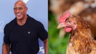 Dwayne Johnson perderá peso para interpretar a un anciano en nueva película