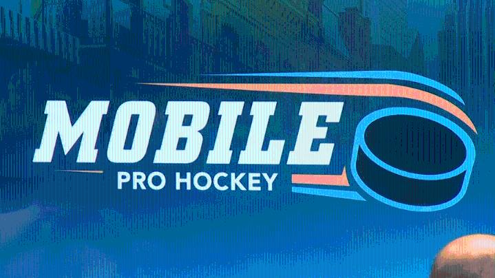 Locals react to Mobile's new minor league hockey team