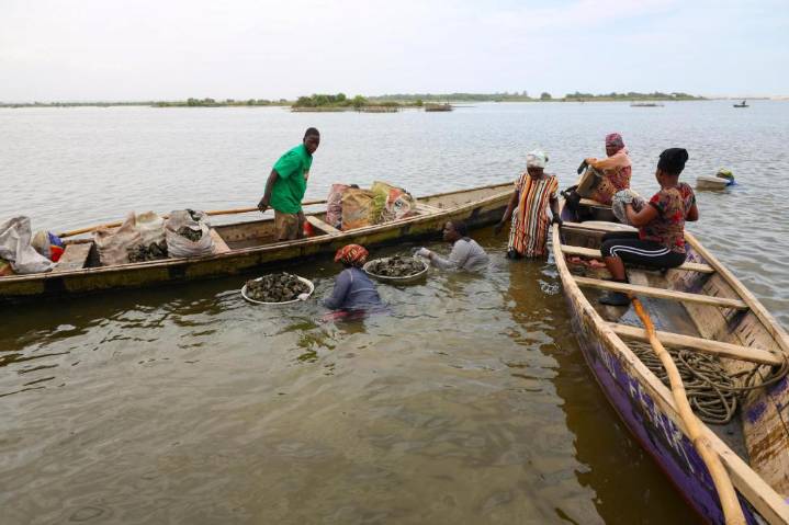 In coastal Ghana, female oyster farmers try to save an old practice threatened by climate change