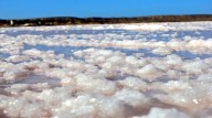 Concretan inversión internacional para explotación de sal en Araya