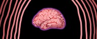 Your Mother's Germs May Have Influenced Your Brain's Development